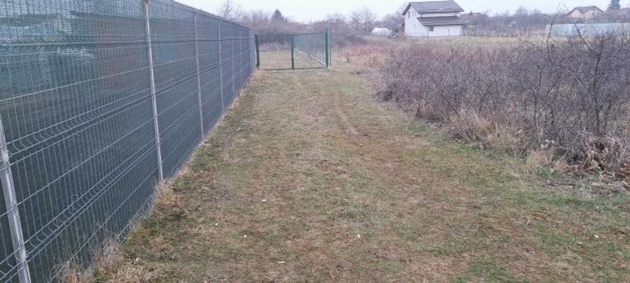 Teren Intravilan | Clinceni | 922mp - 3