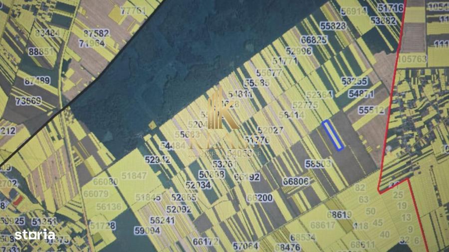 Teren Arabil 1.7 Ha Localizare Strategica intre Buftea si Corbeanc - 5