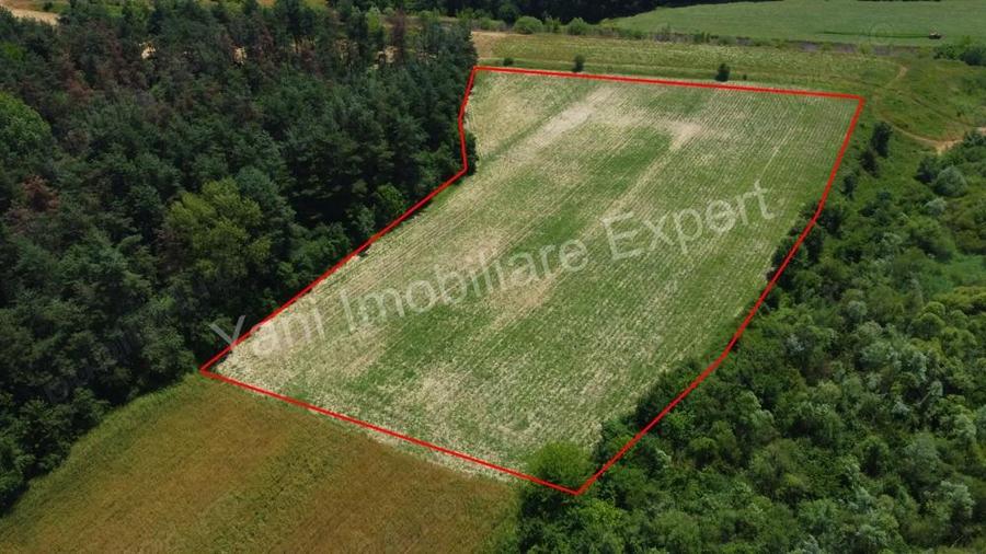 Teren de vanzare in comuna Baicule?ti, Judet Arge?. - 3