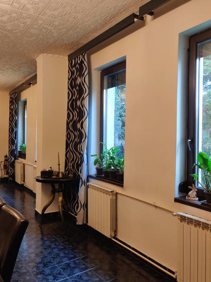 Vilă interbelică și teren 684 mp zona Viilor/Parcul Carol - 2