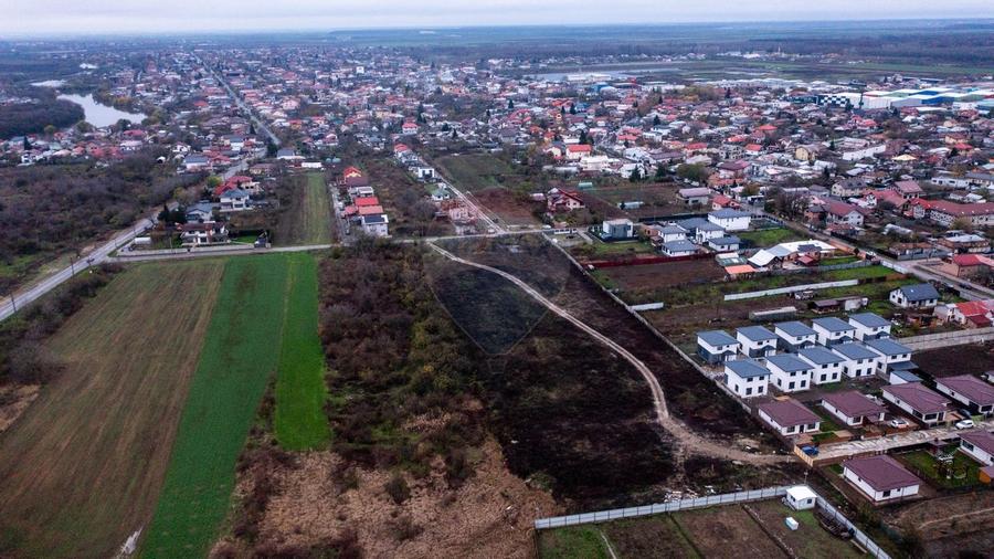 Vanzare teren intravilan 10.000mp Afumati - Strada Teiului - 4