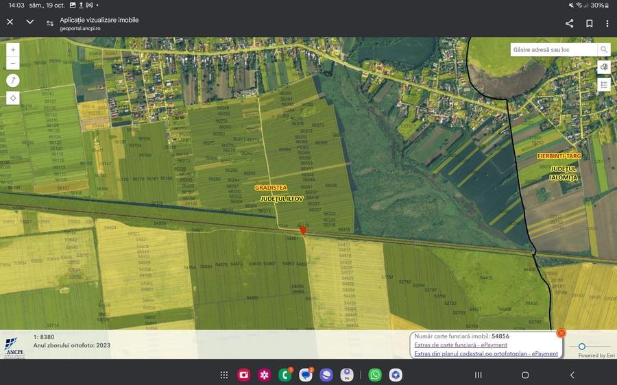 Teren de vinzare Gradistea jud Ilfov - 6