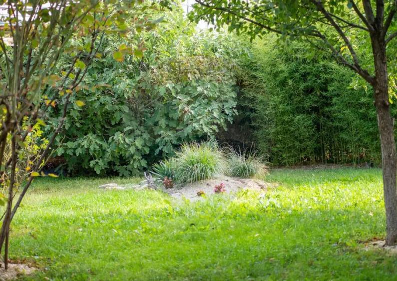 Casa / Vila, 10 cam., Lidl Salaj, multifunctionala - 16