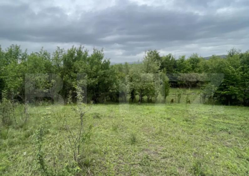 Teren extravilan 5200 mp Budacul de Jos- Investi?ie ex - 3