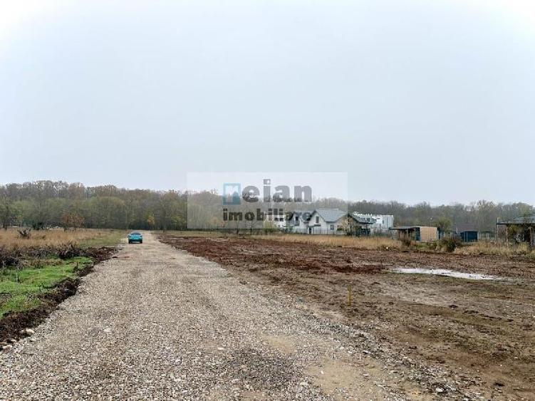 Snagov - Ciofliceni, Str Serban Cantacuzino 882 Mp, Asfalt, Utilitati - 4