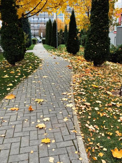 Apartament 2 camere, 48 mp utili+ terasa 3.5 mp, Avantgarden - 17