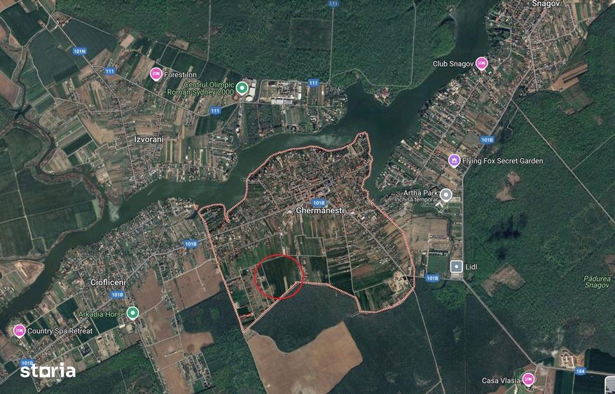 Teren 1500 mp Ghermanesti in proximitatea padurii str Nicopole - 2