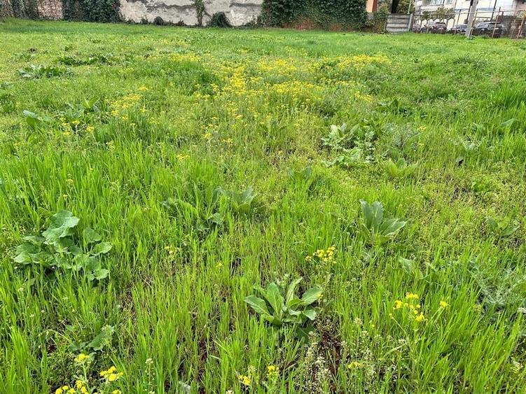 TEREN ZONA CENTRALA PLOIESTI - 4