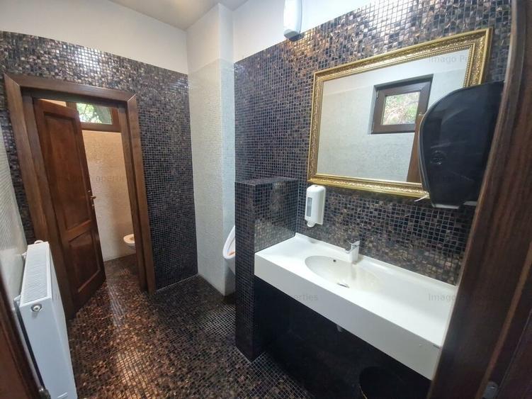 Oportunitate de investitie restaurant in Parcului Tineretului - 6