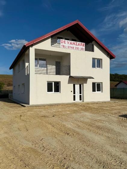 Proprietar-Casa în sat Dumbrava, Comuna Ciurea, Jud Iași, str. DJ 248D, nr. 385. - 9