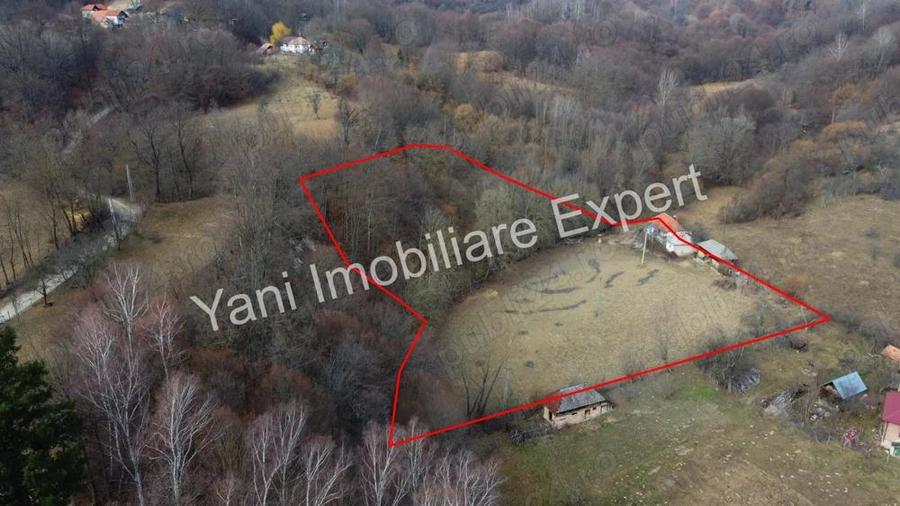 Casa batraneasca + 10.076 mp teren de vanzare in comuna Cepari, Jude? Arge?. - 17