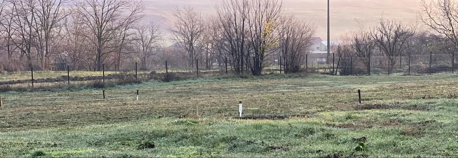 Teren, loc de casa - 2