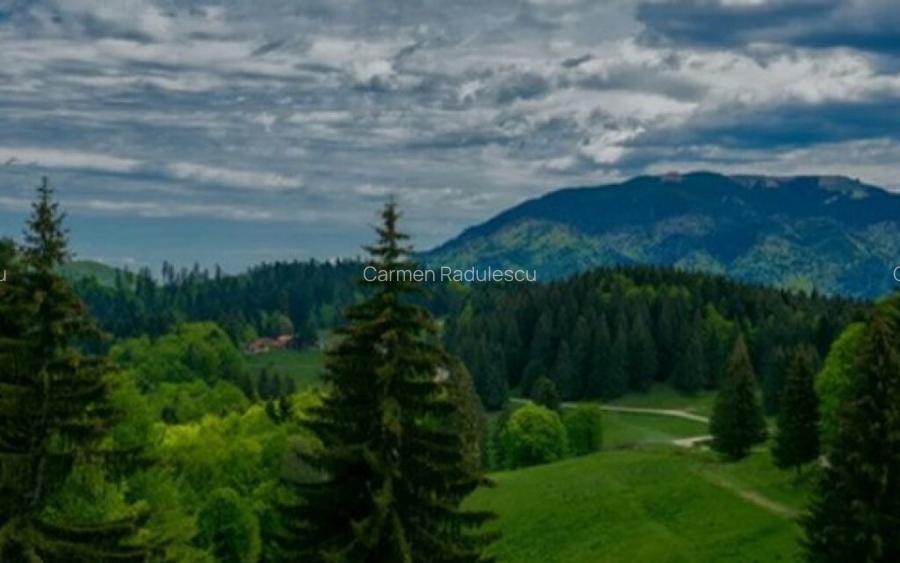 SUPERB Teren intravilan de 2350mp in Poiana Mica Brasov