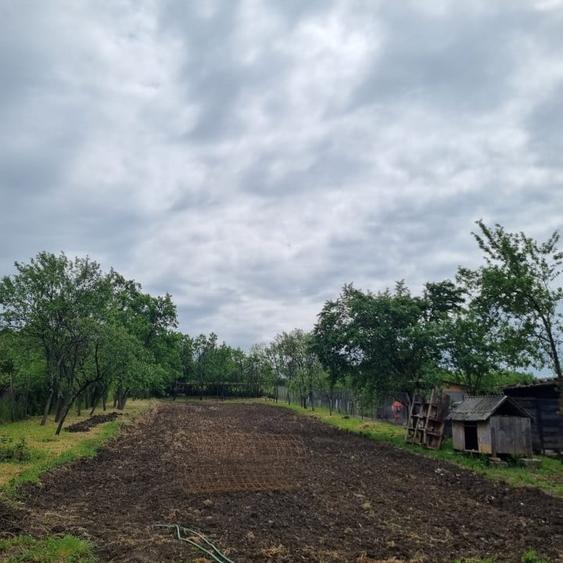 Casa de vanzare, sat Varaseni, Bihor, Romania - 6