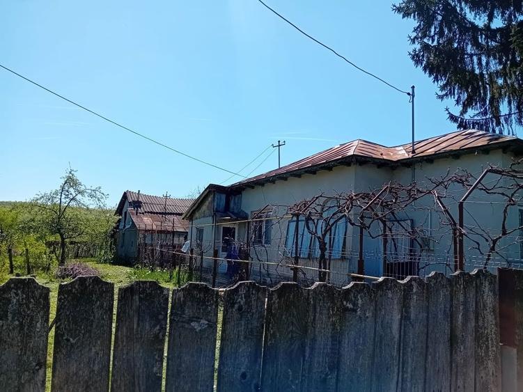 Casa Podenii Noi - 6