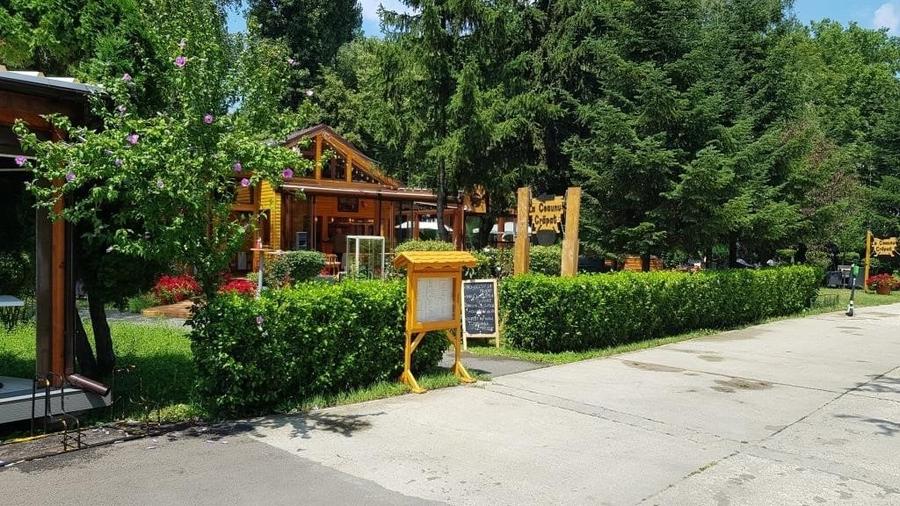 Spatiu  comercial -Parc Herastrau - 3