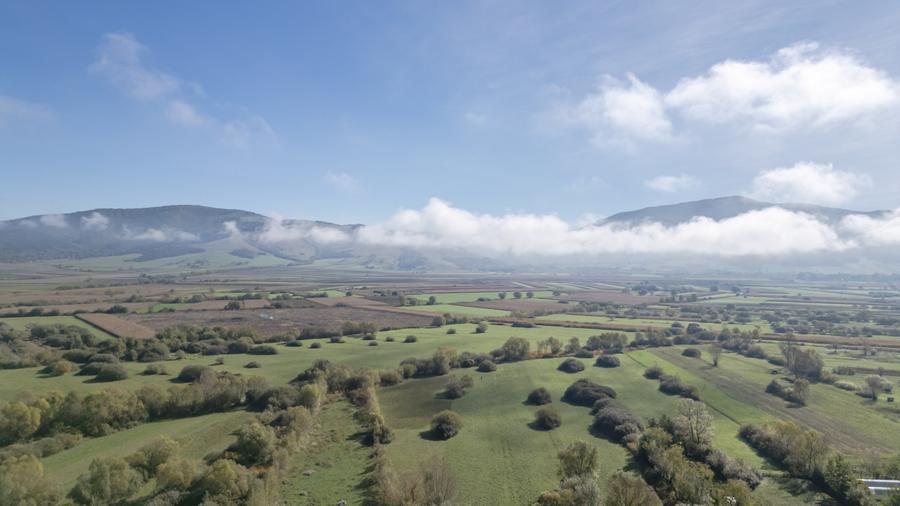 Proprietate rara in Covasna - liniste, spatiu si potential de investitie - 15