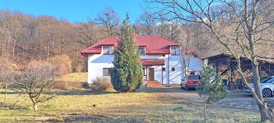 Propriete superbă la marginea pădurii în Râșnov Primăverii 5,000 mp - 1