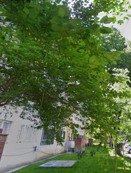 Obor,Mihai Bravu langa Primaria Sectorului 2 - 2