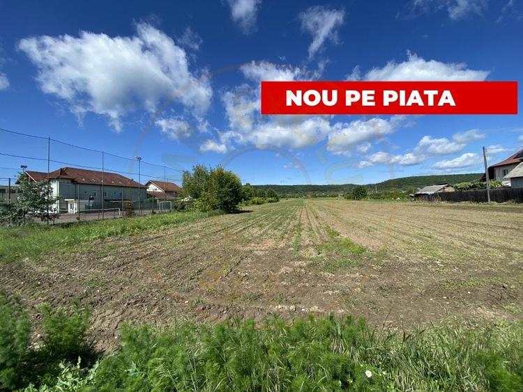 Teren intravilan 7.295 mp – Argeselu, Maracineni, AG - 1