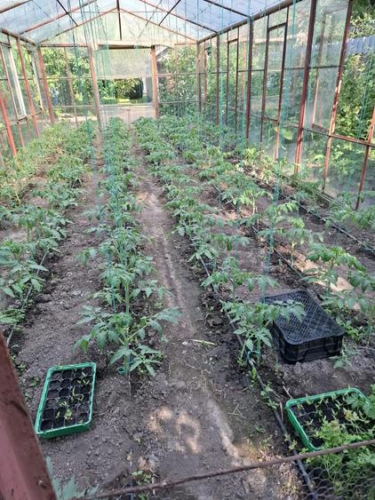 Casa de vanzare municipiul Oltenita judet Calarasi - 2