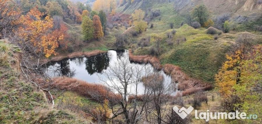 Balta lui vintila 8000mp - 1