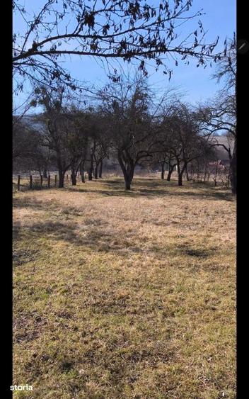 Teren intravilan, 2848 MP, Arghisu - 7