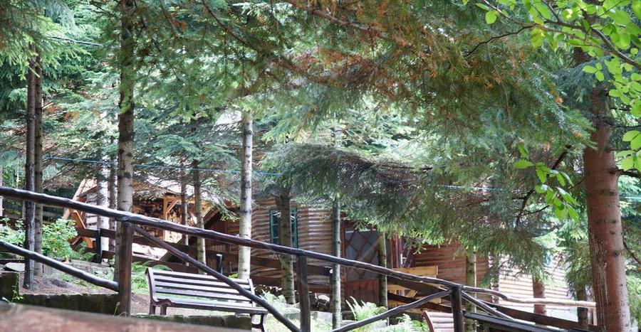 DE VANZARE Pensiune | 12 camere | Bisoca / Buzau - 15