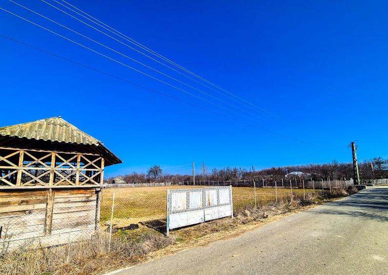 Teren Intravilan Cuca Arges - 8