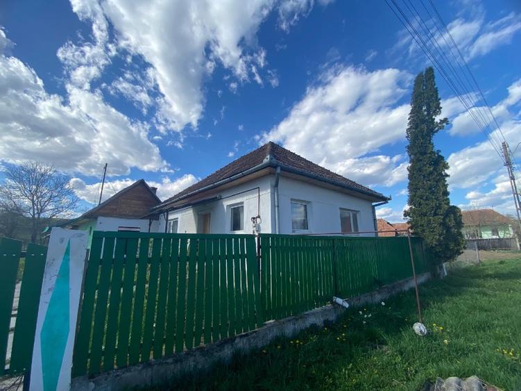 Vând casă cu teren spațios  - 1