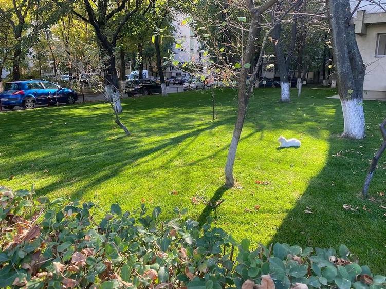 Apartament cu 4 camere semidecomandat în Central