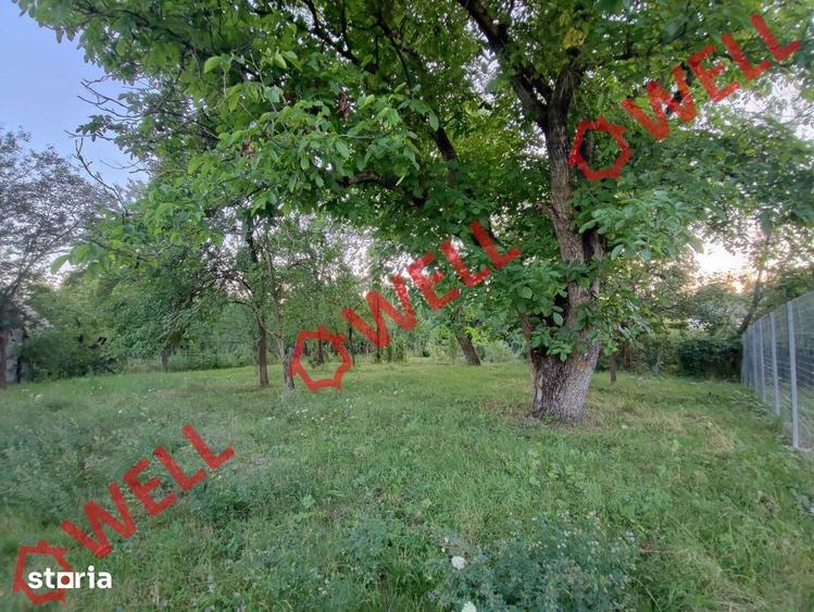 Teren de 1800 mp, în Valea Crișului
