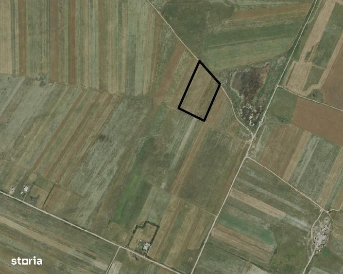 teren pentru ferma - 1