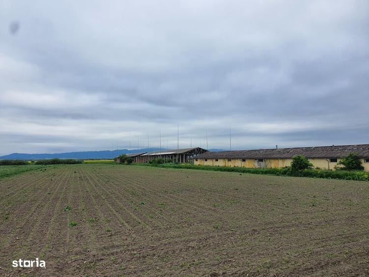 Teren Industrial Brasov - Halchiu cu deschidere la DN 13 - 2