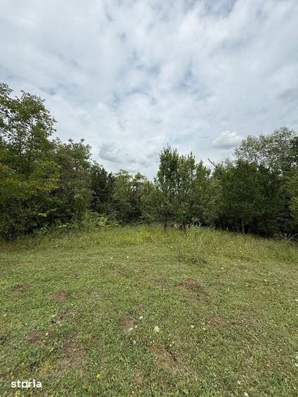 Teren de 3429 mp, în Poiana