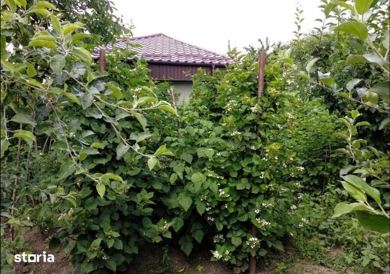 Casă cu 3 camere semidecomandat cu Teren 1500 Mp în Românești