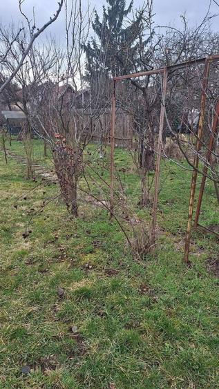 Casa cu teren generos in zona Gheorgheni - 10