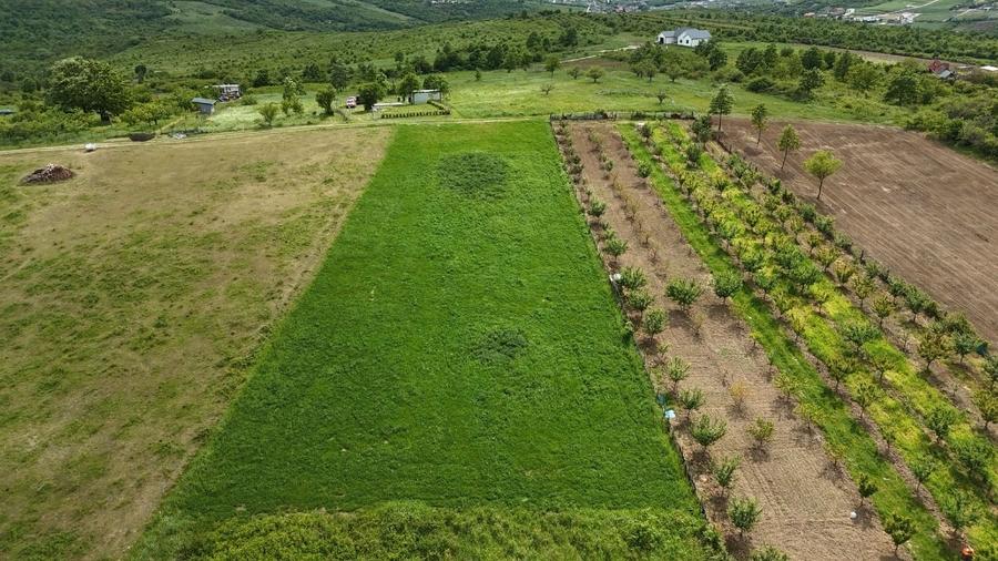 Teren intravilan 3.000 mp – 8 min de Oradea, Săldăbagiu de Munte - 5