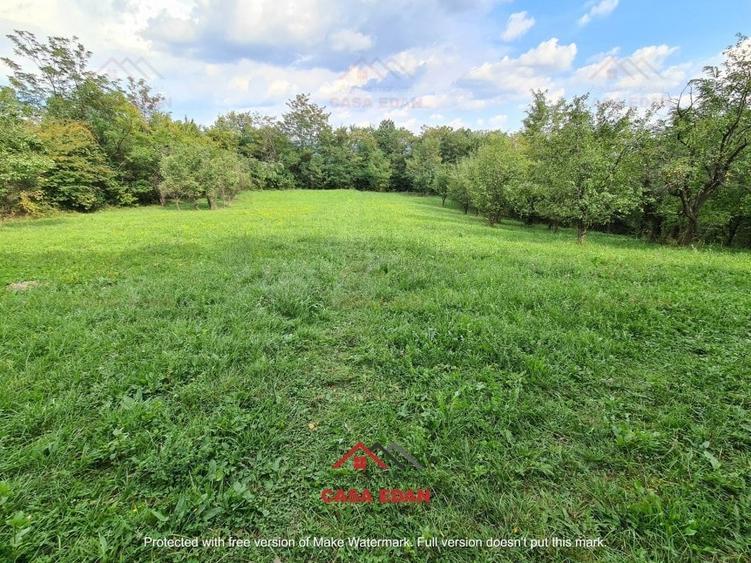 ●Teren intravilan in Poiana Campina,zona retrasa,3287 mp,10e● - 8