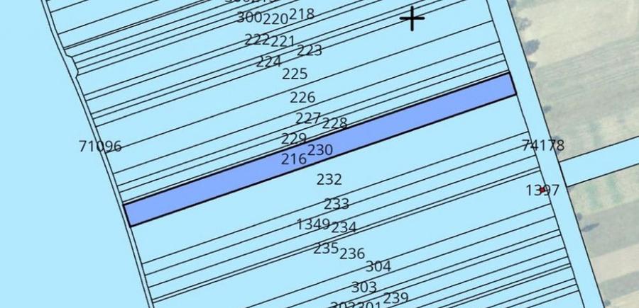 Teren Nucet 8018m Deschidere 21m la DN71 Targoviste - 4