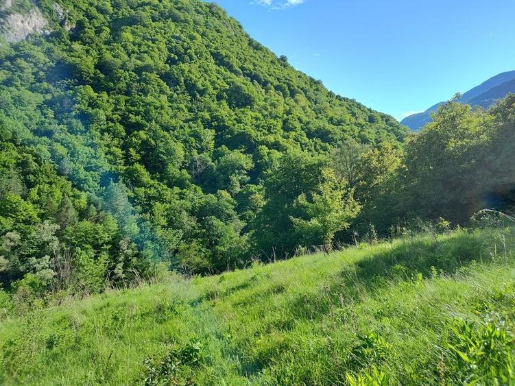 Teren Valea Cernei Baile Herculane - 5