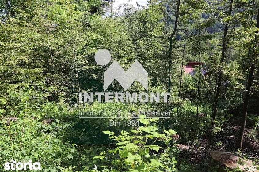 Teren Sinaia Zona Centrala, 500mp, Vedere Montana, Toate Utilita?ile - 3