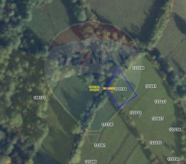 Teren 500 mp între Perdeluț și Tohanul Nou - 9