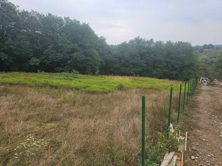 Vand 2756 mp teren in Luncani - 5