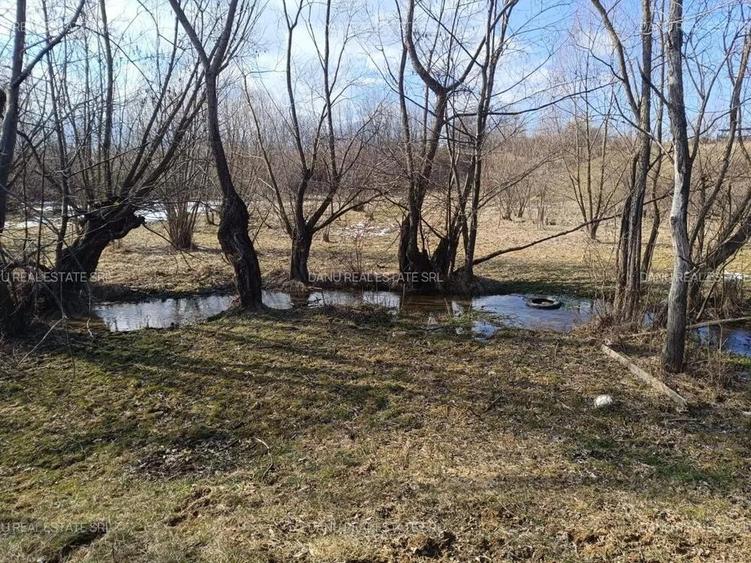 Comision0%Bran Sohodol intravilan 5783,acces rau Sohodol,front 70m - 1