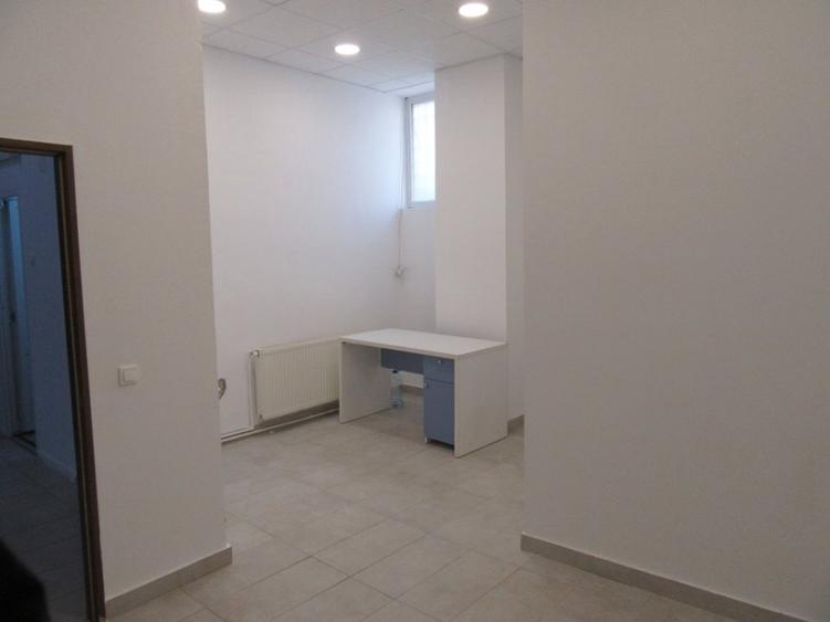 Inchiriere Spatiu Comercial Teiul Doamnei - 24