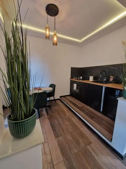 Stefan cel Mare , Lacul Tei in vila - 4