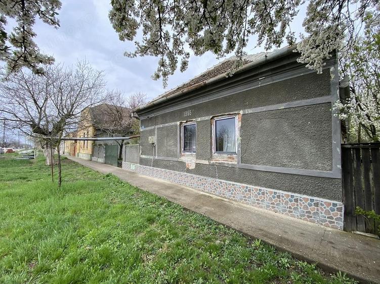 Casa si Teren generos 2.769 mp Sanmartinu Maghiar - 10