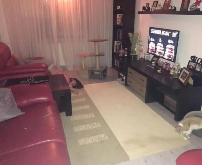 Apartament 3 camere Fizicienilor - 2