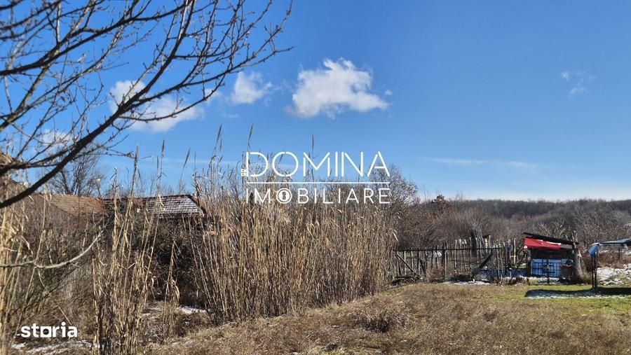 Oportunitate teren 6.504 mp Curtisoara, la 11 km distanta de Tg. J - 1